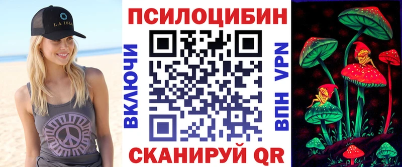 цена   Сусуман  Псилоцибиновые грибы Cubensis 